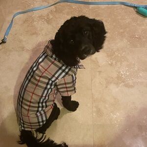Mock Burberry Pet Shirt
